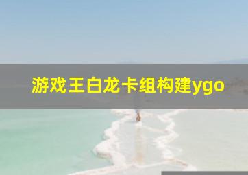 游戏王白龙卡组构建ygo