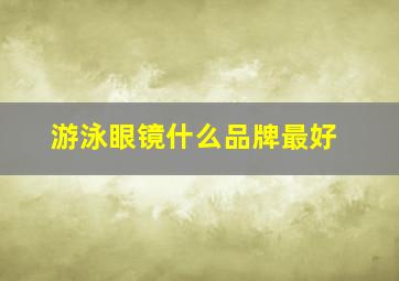 游泳眼镜什么品牌最好