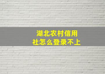 湖北农村信用社怎么登录不上