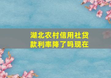 湖北农村信用社贷款利率降了吗现在