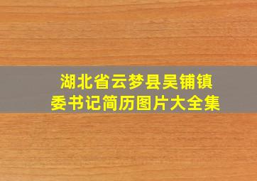 湖北省云梦县吴铺镇委书记简历图片大全集