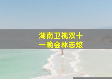 湖南卫视双十一晚会林志炫