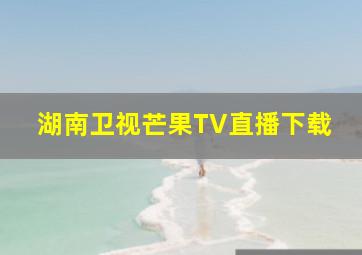 湖南卫视芒果TV直播下载