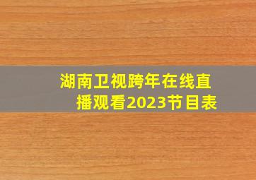 湖南卫视跨年在线直播观看2023节目表