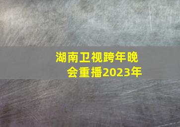 湖南卫视跨年晚会重播2023年