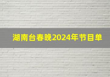 湖南台春晚2024年节目单