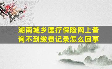 湖南城乡医疗保险网上查询不到缴费记录怎么回事