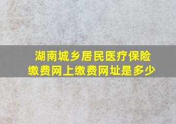 湖南城乡居民医疗保险缴费网上缴费网址是多少