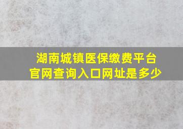 湖南城镇医保缴费平台官网查询入口网址是多少