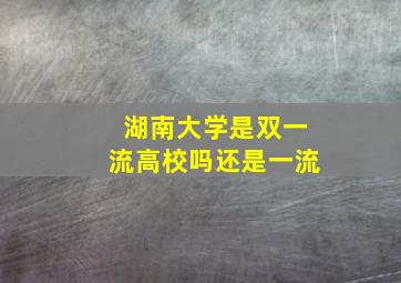 湖南大学是双一流高校吗还是一流