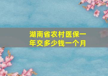 湖南省农村医保一年交多少钱一个月