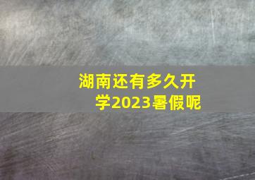 湖南还有多久开学2023暑假呢