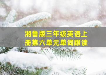 湘鲁版三年级英语上册第六单元单词跟读