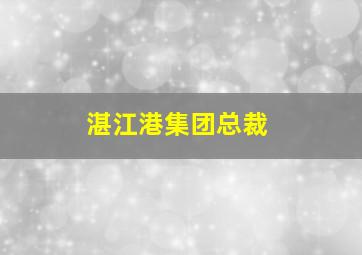 湛江港集团总裁