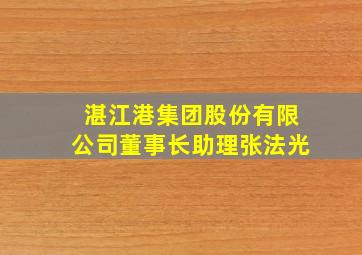 湛江港集团股份有限公司董事长助理张法光