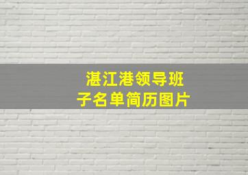 湛江港领导班子名单简历图片