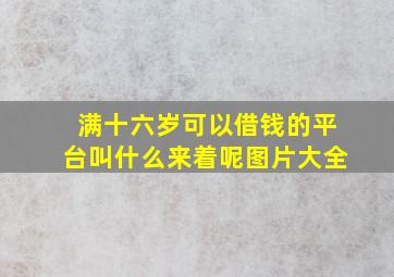 满十六岁可以借钱的平台叫什么来着呢图片大全