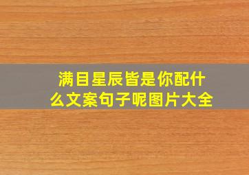 满目星辰皆是你配什么文案句子呢图片大全