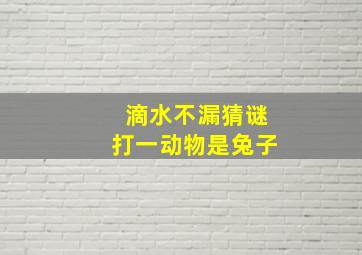 滴水不漏猜谜打一动物是兔子