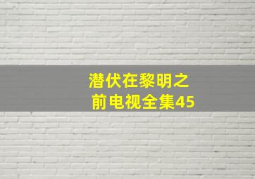 潜伏在黎明之前电视全集45