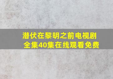 潜伏在黎明之前电视剧全集40集在线观看免费