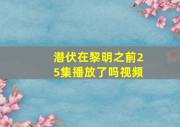 潜伏在黎明之前25集播放了吗视频