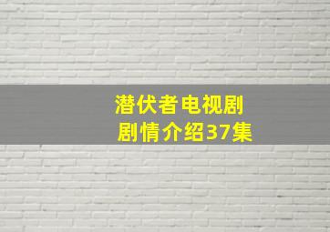 潜伏者电视剧剧情介绍37集