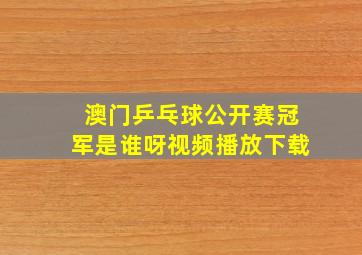 澳门乒乓球公开赛冠军是谁呀视频播放下载