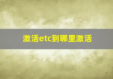 激活etc到哪里激活