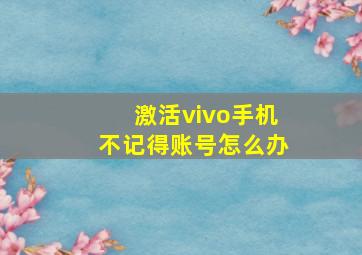 激活vivo手机不记得账号怎么办