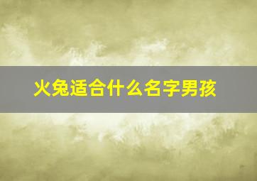 火兔适合什么名字男孩