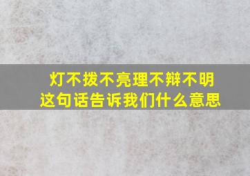 灯不拨不亮理不辩不明这句话告诉我们什么意思