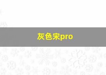 灰色宋pro