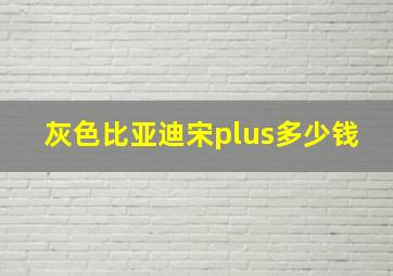 灰色比亚迪宋plus多少钱