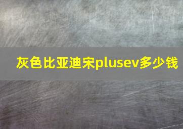 灰色比亚迪宋plusev多少钱