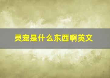 灵宠是什么东西啊英文