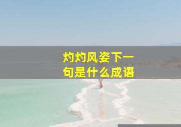 灼灼风姿下一句是什么成语