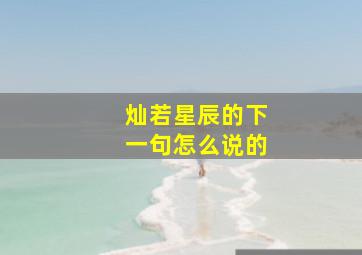 灿若星辰的下一句怎么说的