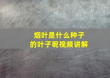 烟叶是什么种子的叶子呢视频讲解