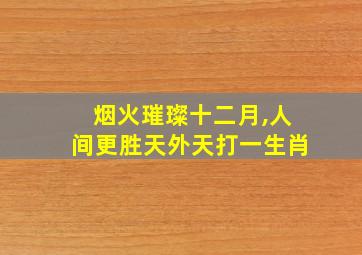 烟火璀璨十二月,人间更胜天外天打一生肖