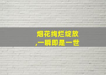 烟花绚烂绽放,一瞬即是一世