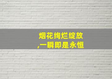 烟花绚烂绽放,一瞬即是永恒