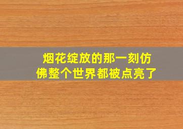 烟花绽放的那一刻仿佛整个世界都被点亮了