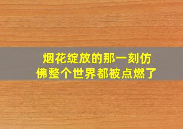 烟花绽放的那一刻仿佛整个世界都被点燃了