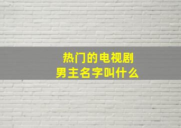 热门的电视剧男主名字叫什么