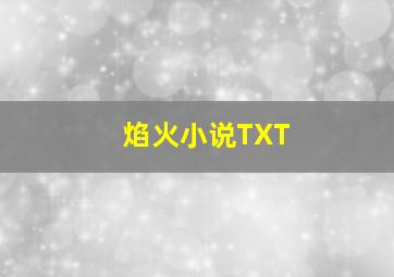 焰火小说TXT