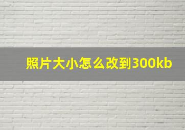 照片大小怎么改到300kb