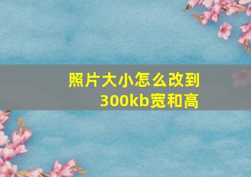 照片大小怎么改到300kb宽和高