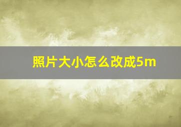 照片大小怎么改成5m