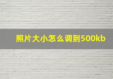 照片大小怎么调到500kb